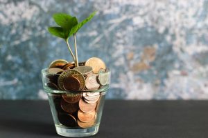The image shows a glass full of coins and a little plant growing up